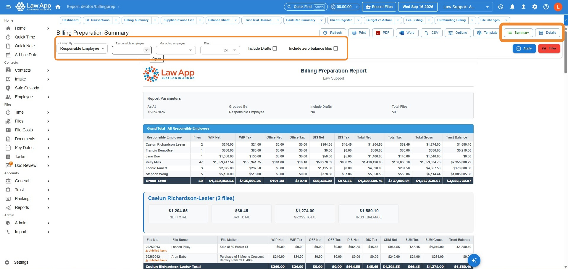 Billing Preparation Summary report with the Group By, Responsible employee, Managing employee, File, Include Drafts and Include zero balance files filters circled, and the Summary and Details view buttons circled at the top right